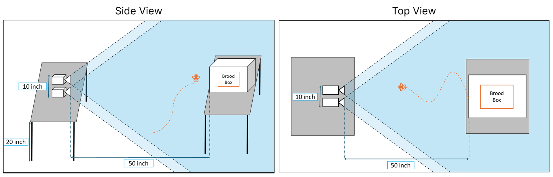 Camera Setup